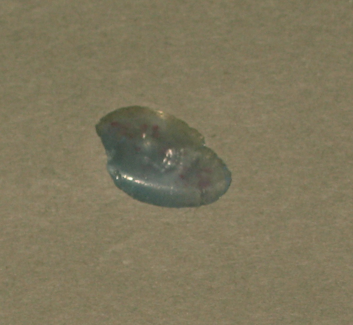 1958.0002.006.112 Glass fragment