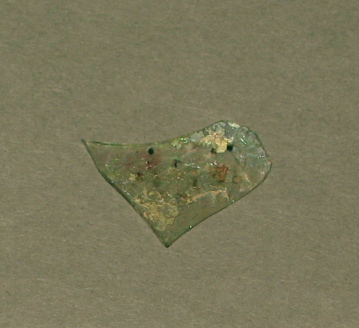 1958.0002.006.092 Glass fragment