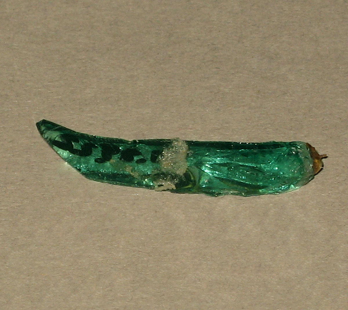 1971.0024.022 Glass fragment