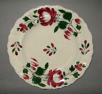 Plate - Dinner plate