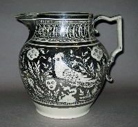 Jug - Pitcher