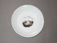 Saucer