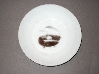 Saucer