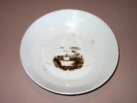 Saucer