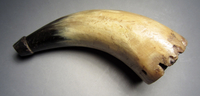 Powder horn