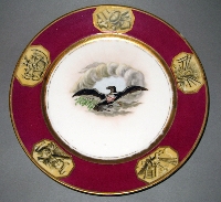 Plate - Dessert plate