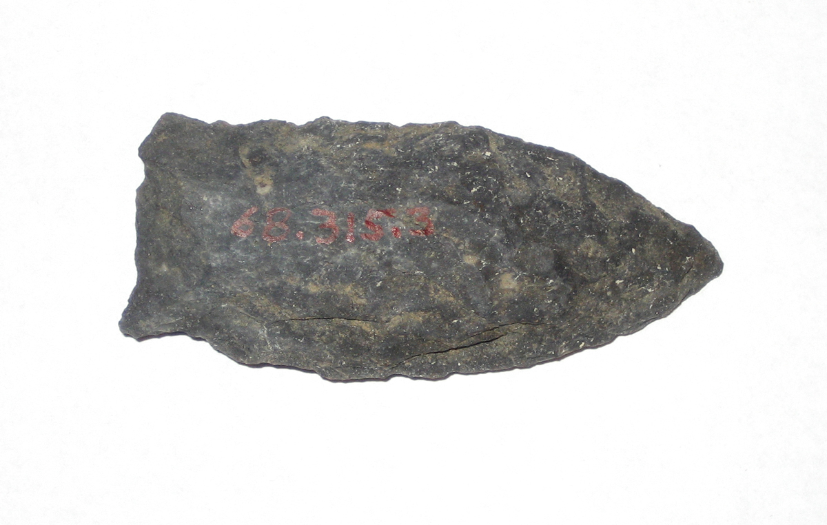 1968.0315.003 Projectile Point (Arrowhead)