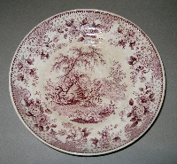 Saucer