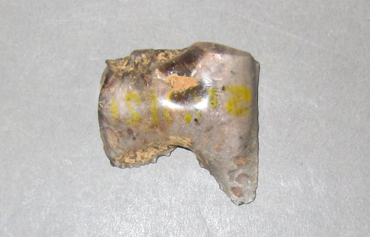 1954.0041.021 Glass fragment