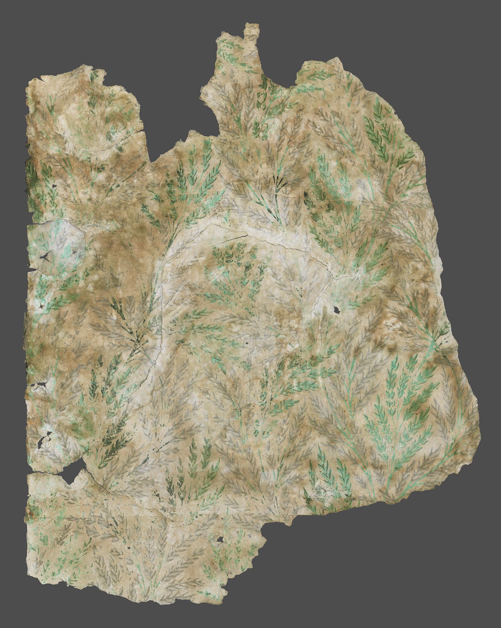 1977.0066.002.008 Wall covering, view 1