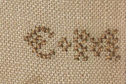 1958.2762 A Needlework Picture, Detail 4