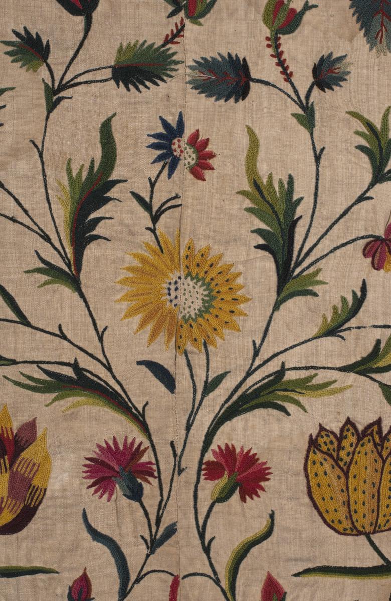 2010.0015 (Tambour embroidery) Petticoat, detail 15