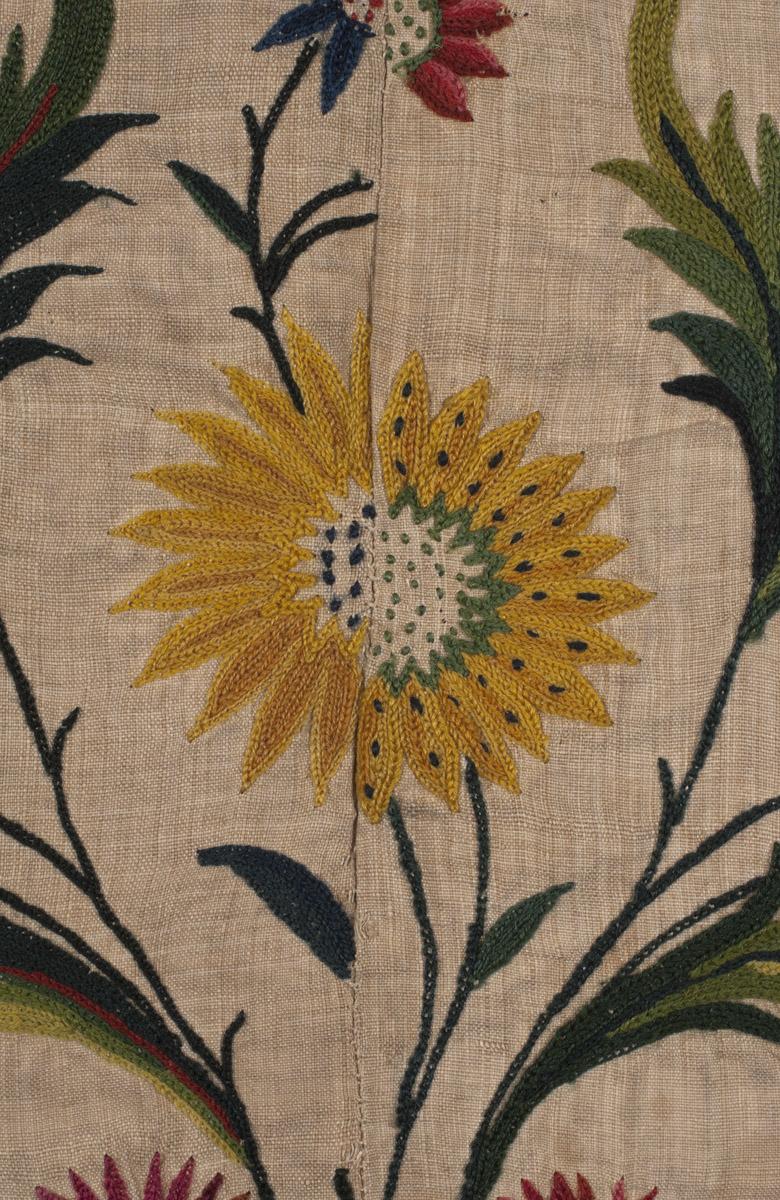 2010.0015 (Tambour embroidery) Petticoat, detail 17