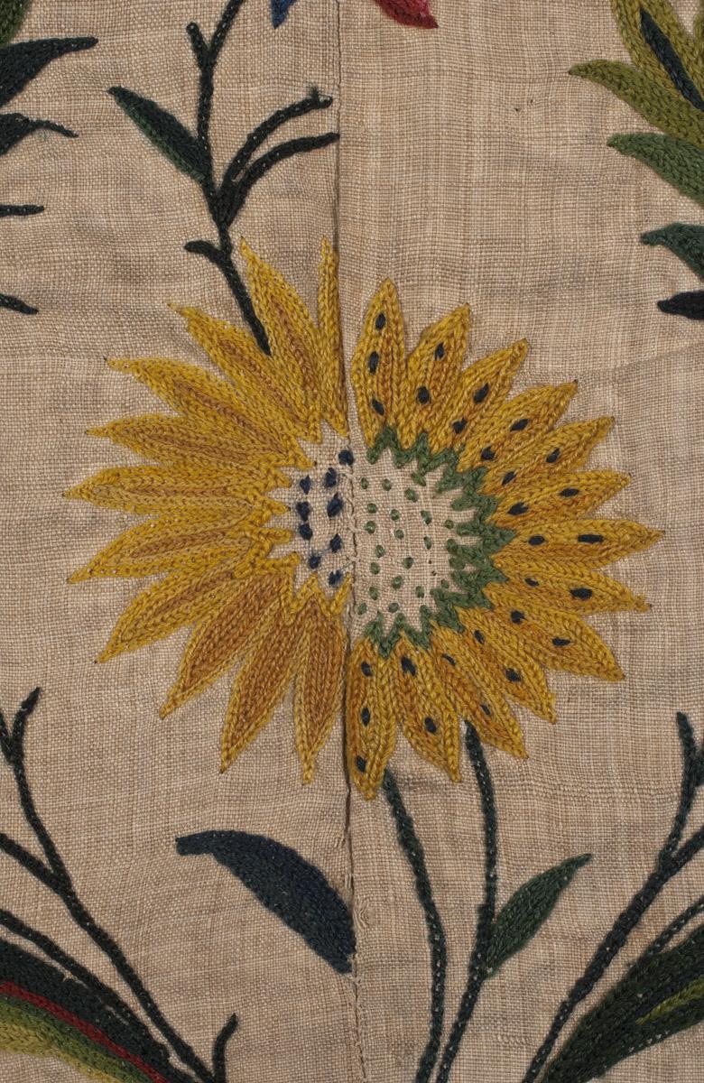 2010.0015 (Tambour embroidery) Petticoat, detail 18