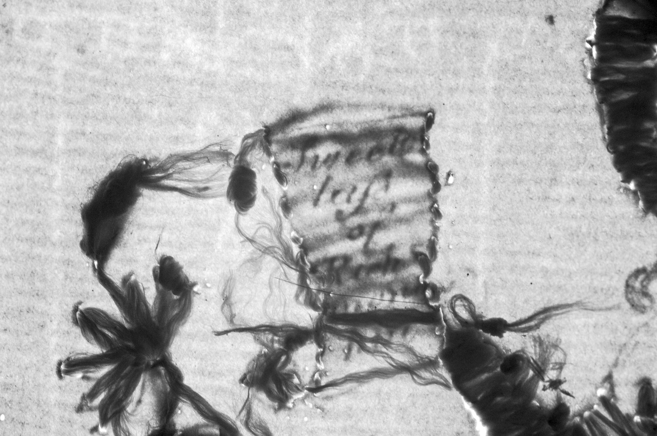 2010.0025 A Georgian paper embroidery, detail 2, infrared