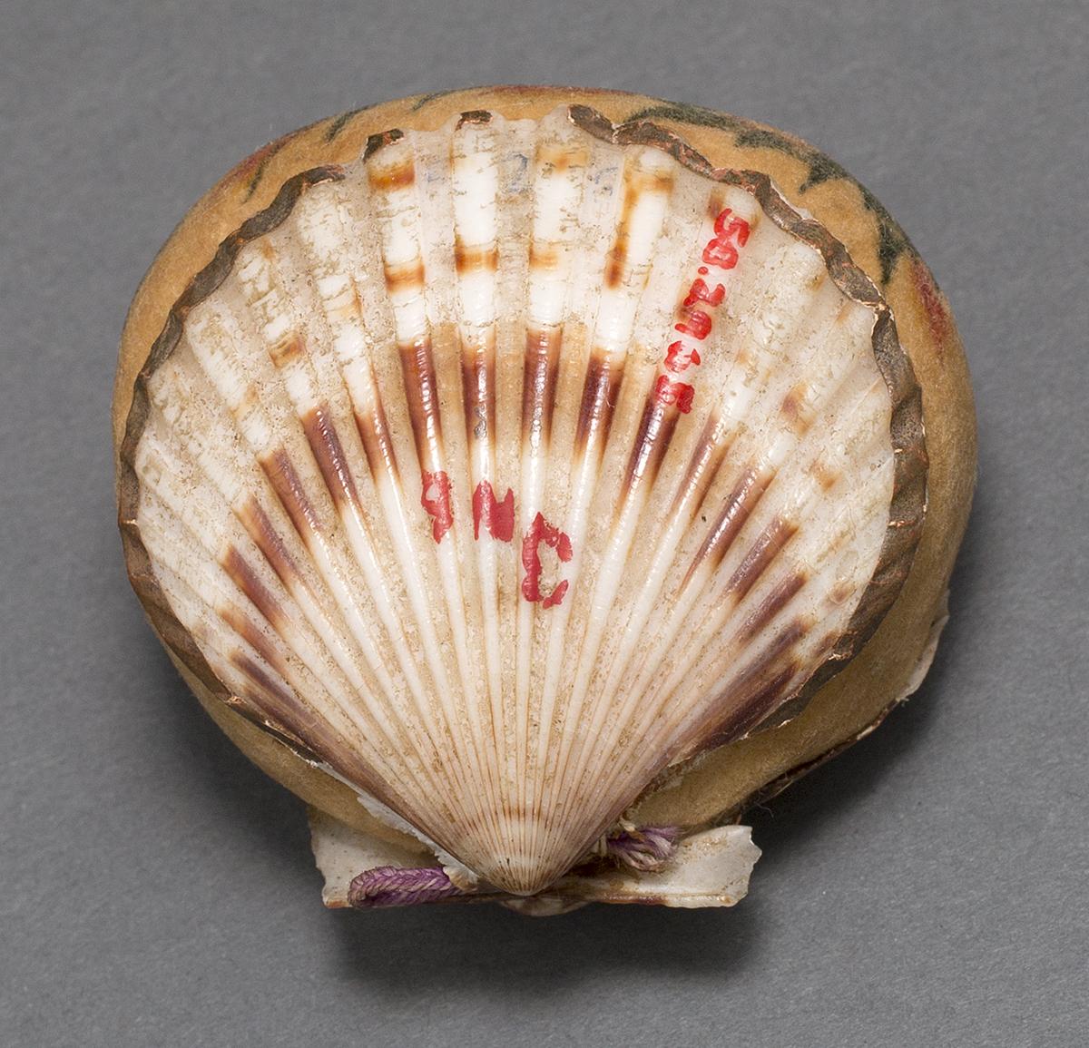 1958.2965 Pincushion, Bottom