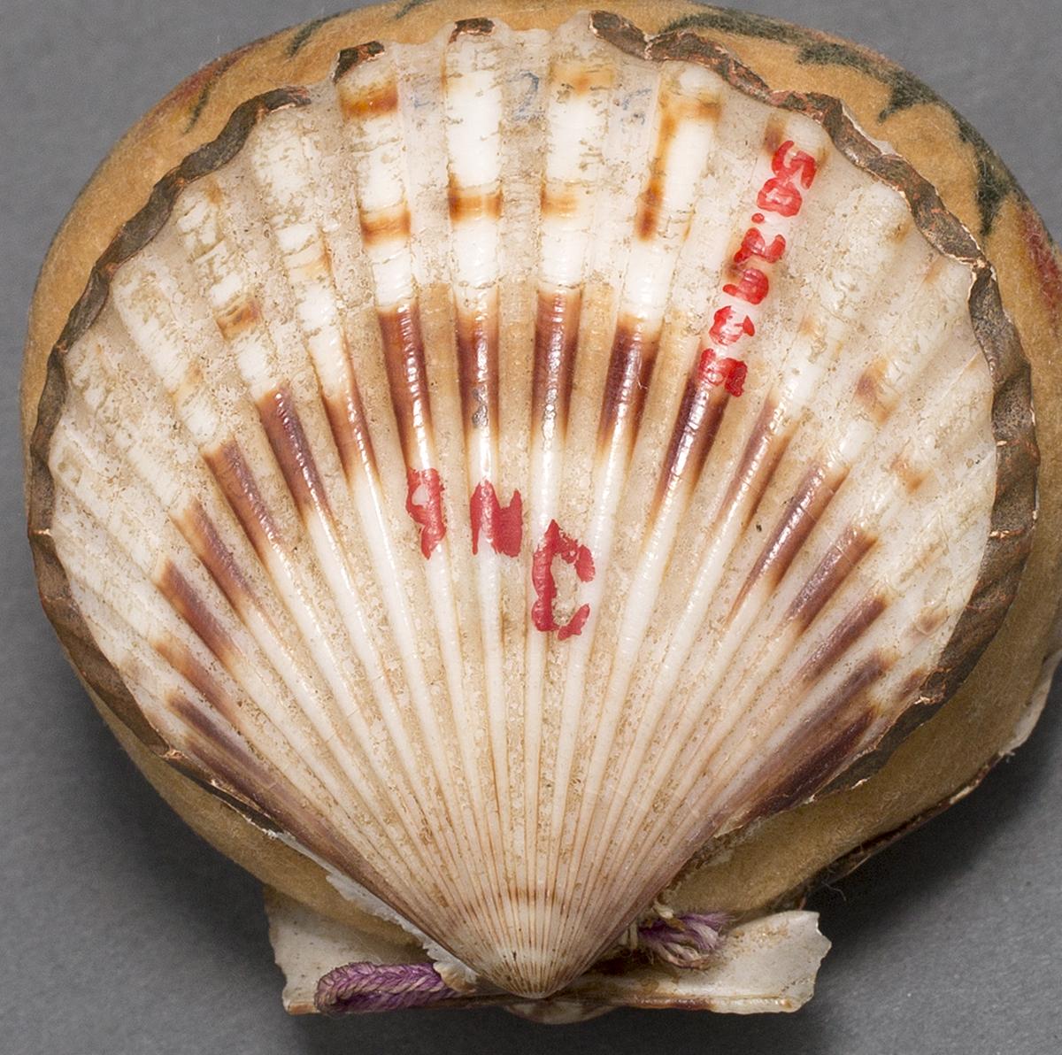 1958.2965 Pincushion, Bottom Detail