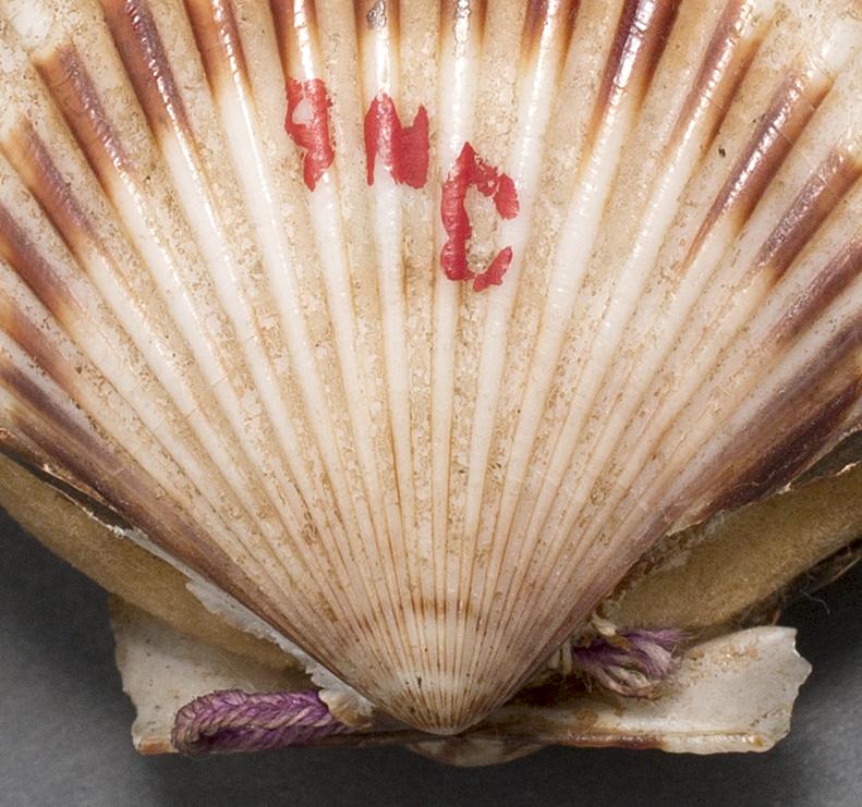 1958.2965 Pincushion, Bottom Detail 2