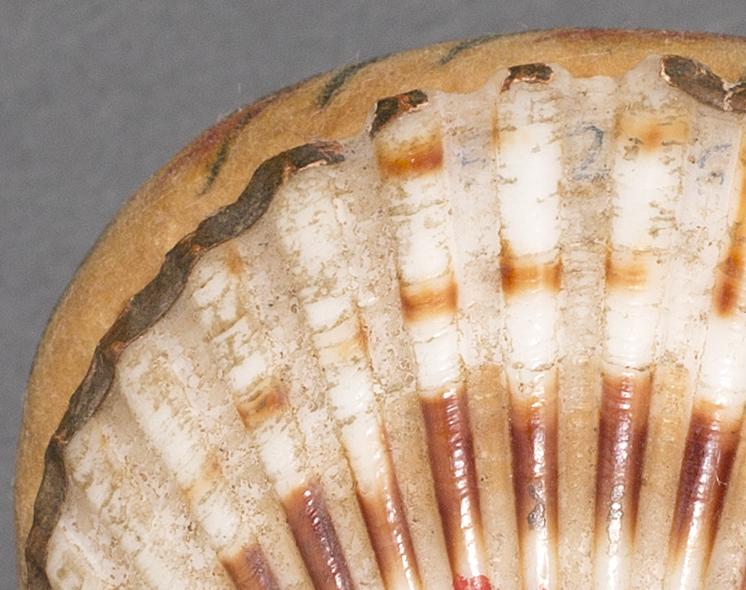 1958.2965 Pincushion, Bottom Detail 3