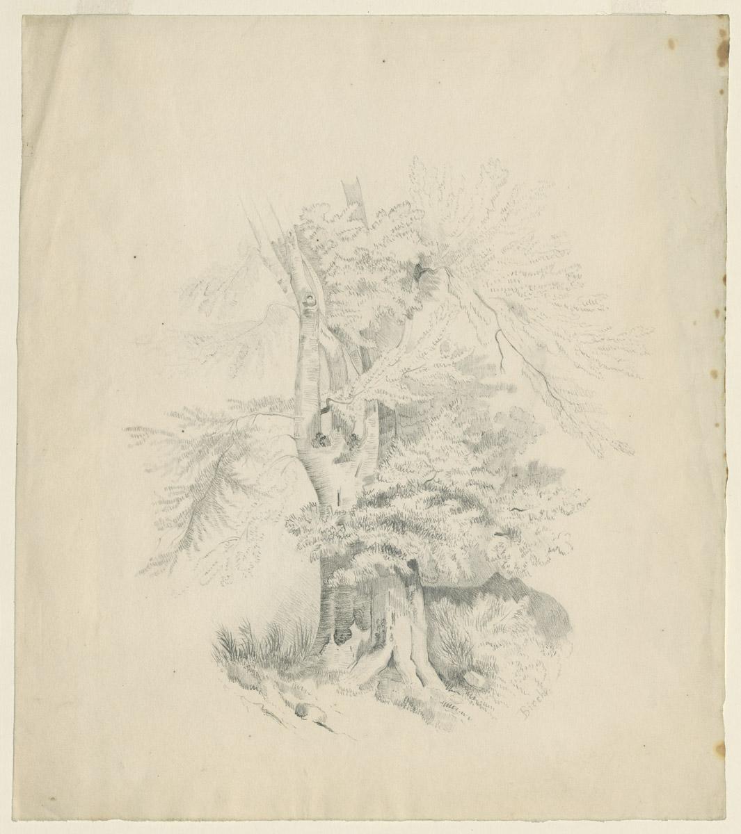 1959.0040.011 Drawing