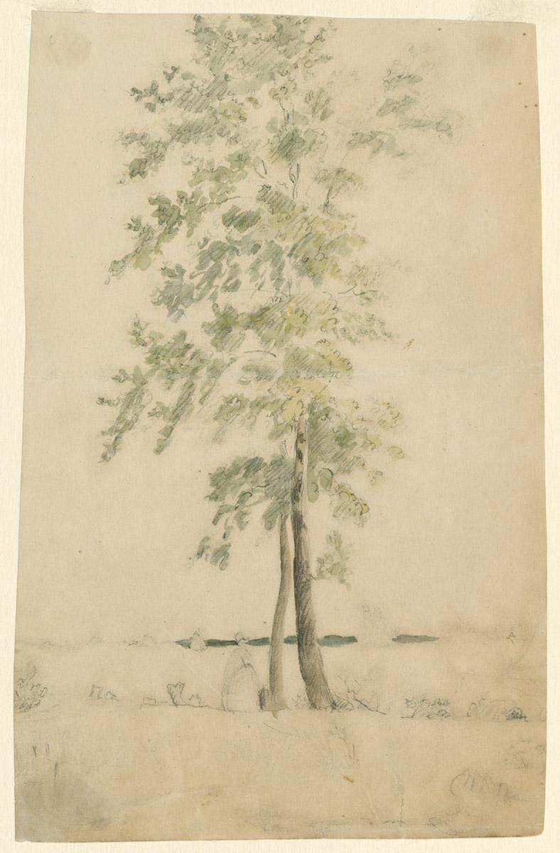 1959.0040.015 Drawing