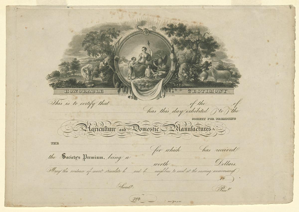 1959.0074.008 Certificate
