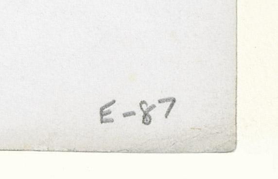 1978.0064.001 Print, detail 6