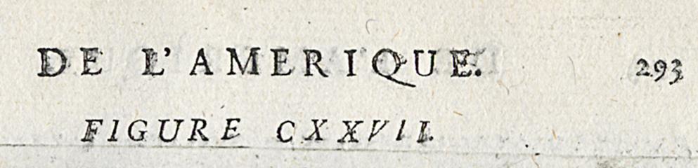1978.0039.004 Print, Detail 8