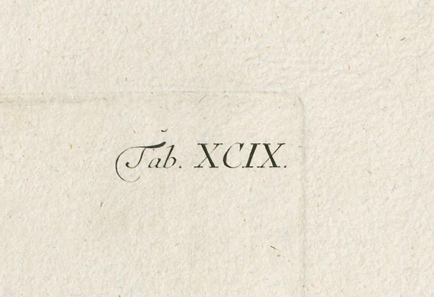 1978.0038.003 Print, detail 2