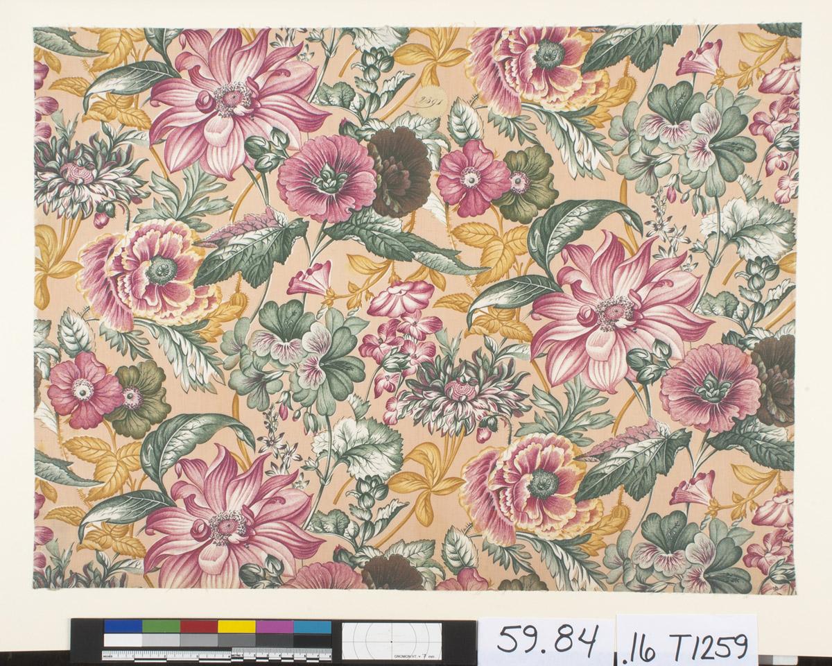 1959.0084.016 Textile, printed, view 1
