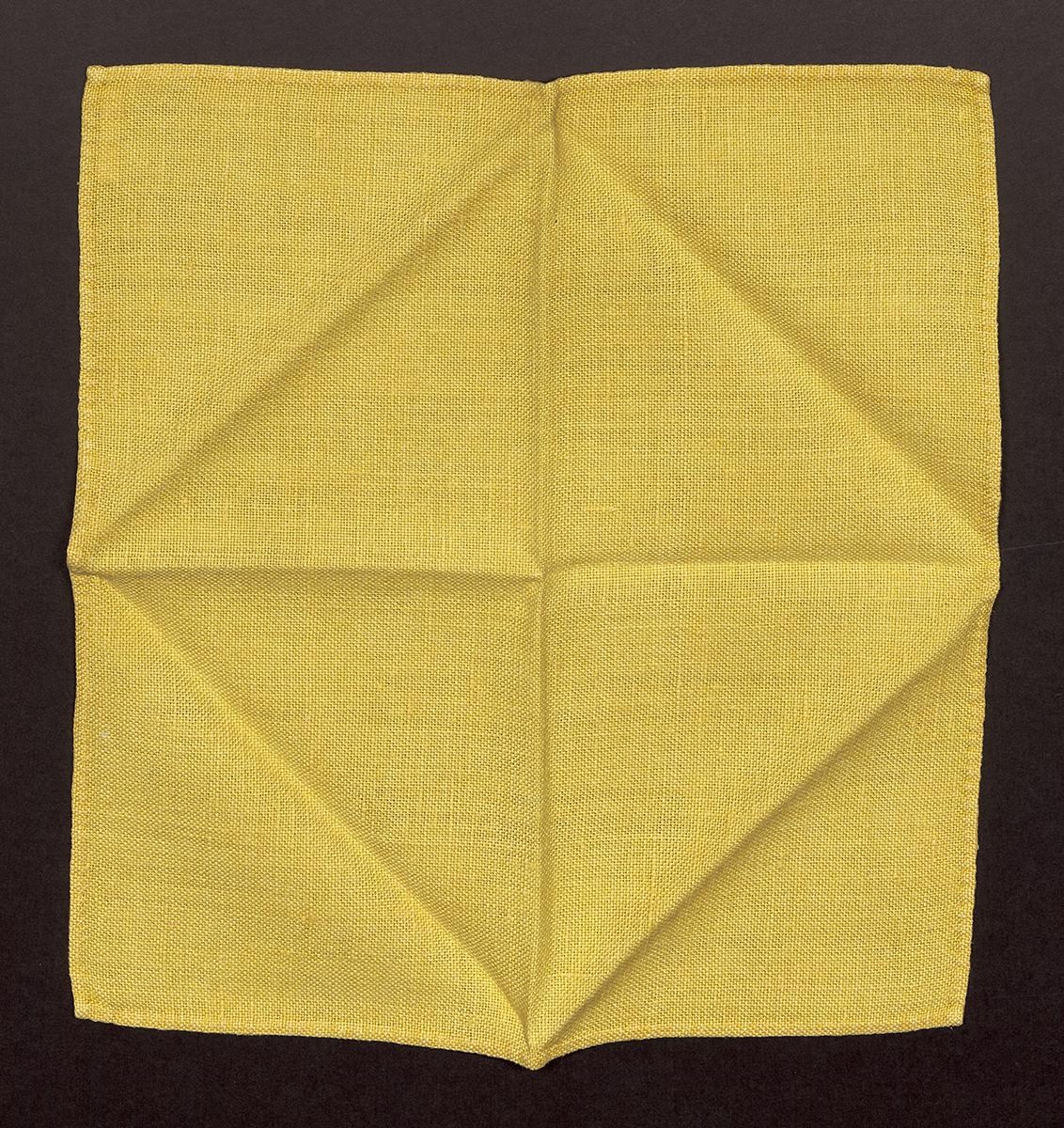 2011.0047.005.011 Napkin
