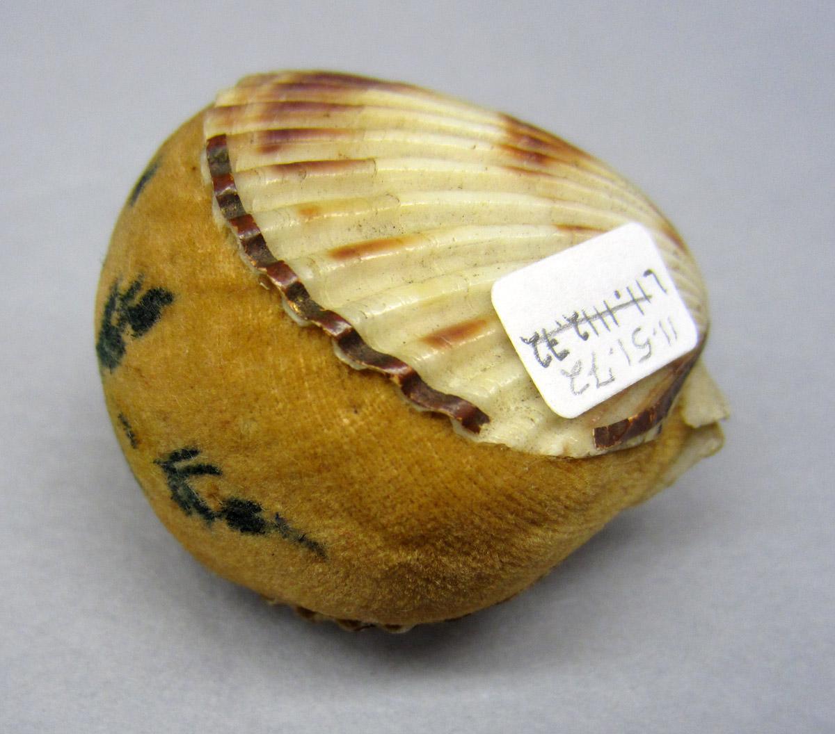 2011.0051.072 Pincushion, Shell border