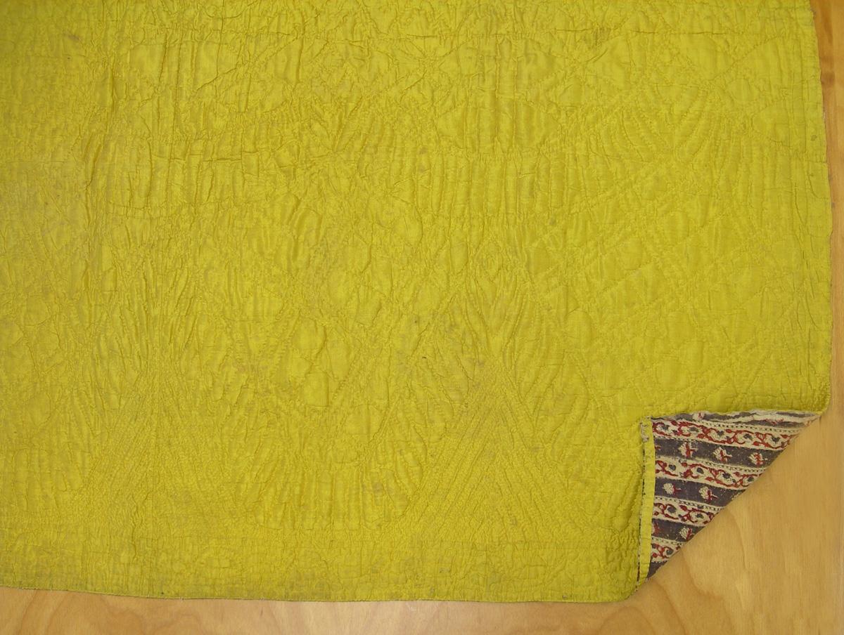 1959.0118.004 Petticoat