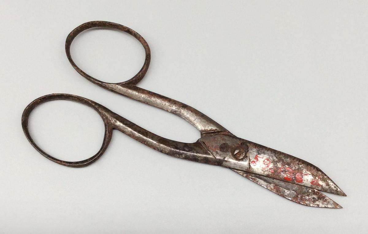 1959.0135 D Scissors, view 2