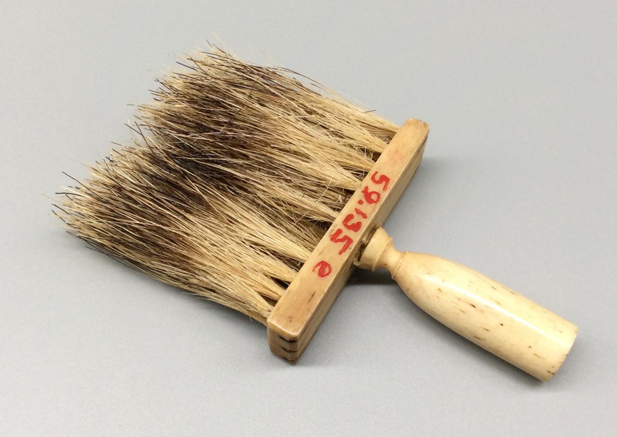1959.0135 E Brush, view 2