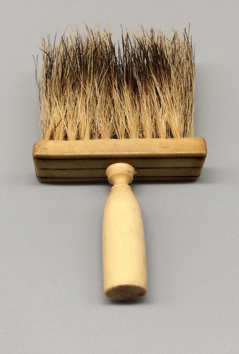 1959.0135 E Brush, view 3