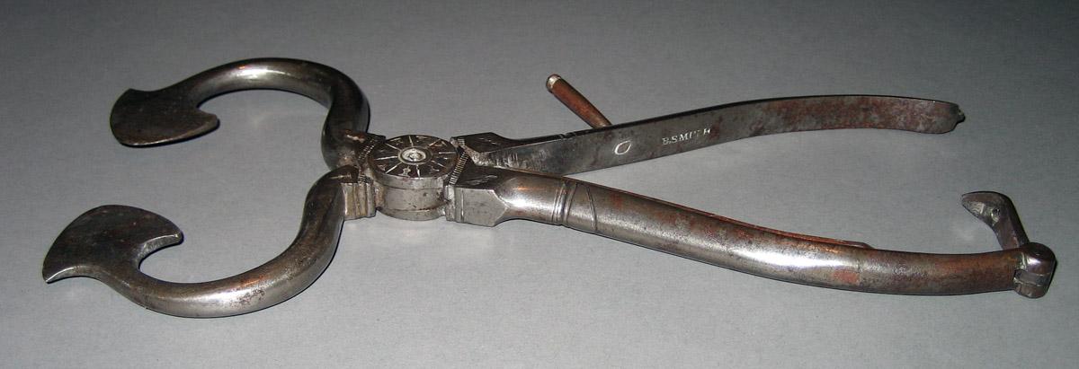 1959.0145 Sugar nippers