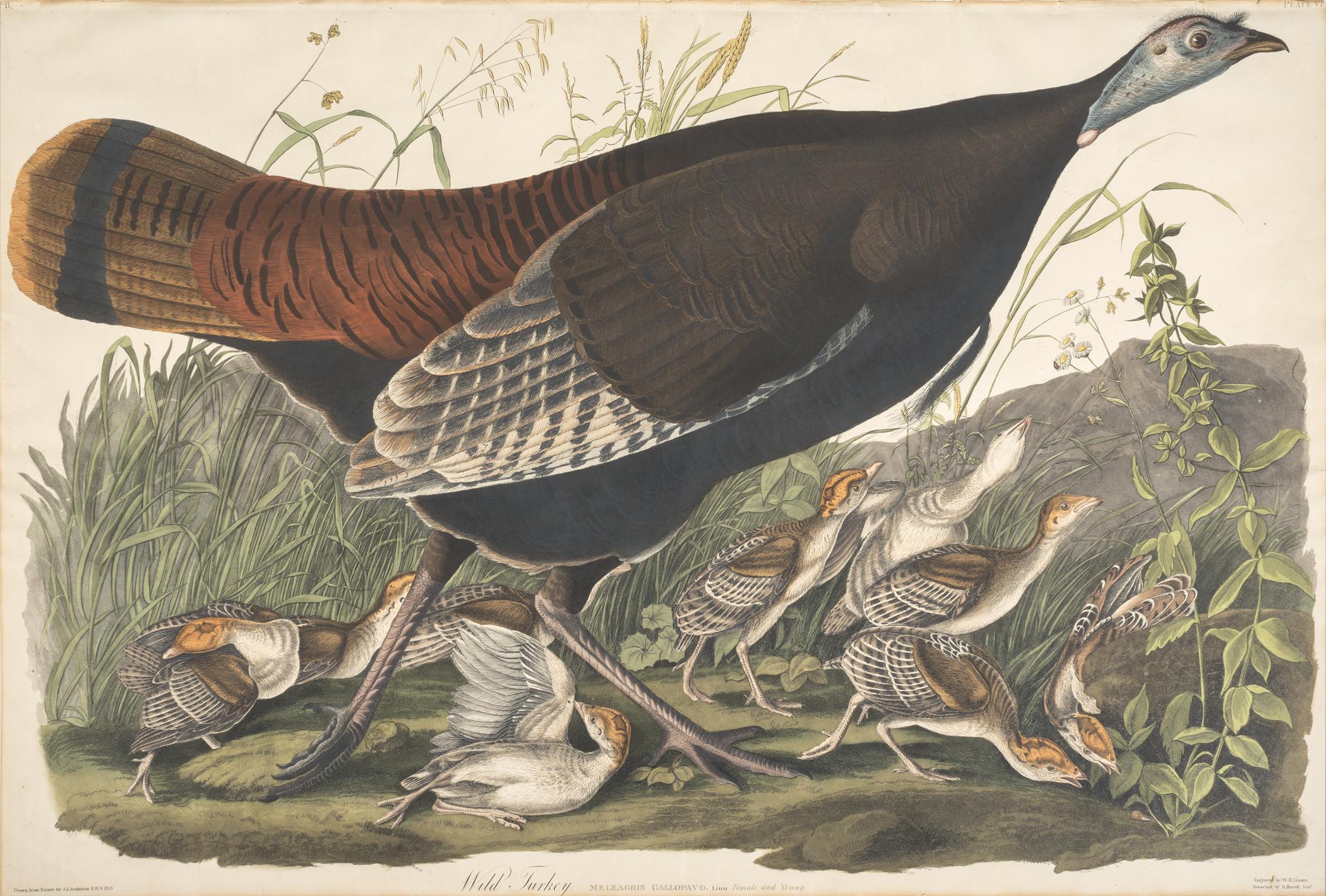1959.0162.004 Print, view 1