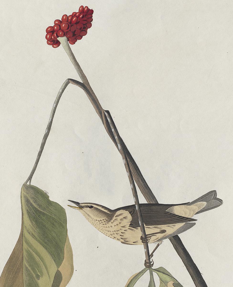 1959.0162.012 Print, Detail