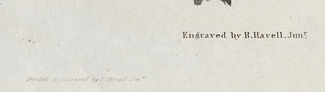 1959.0162.012 Print, Detail 6