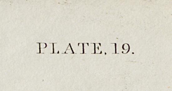 1959.0162.012 Print, Detail 7