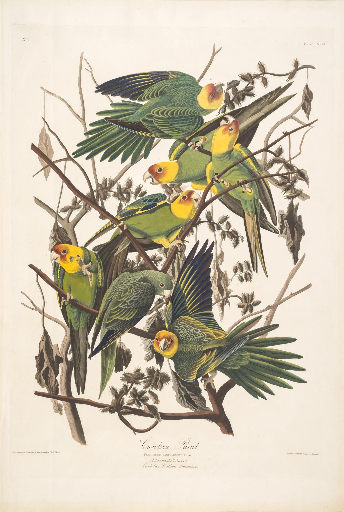1959.0162.017 Print, view 1
