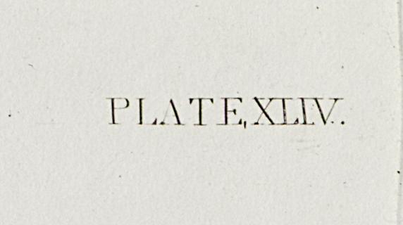 1959.0162.027 Print, Detail 9