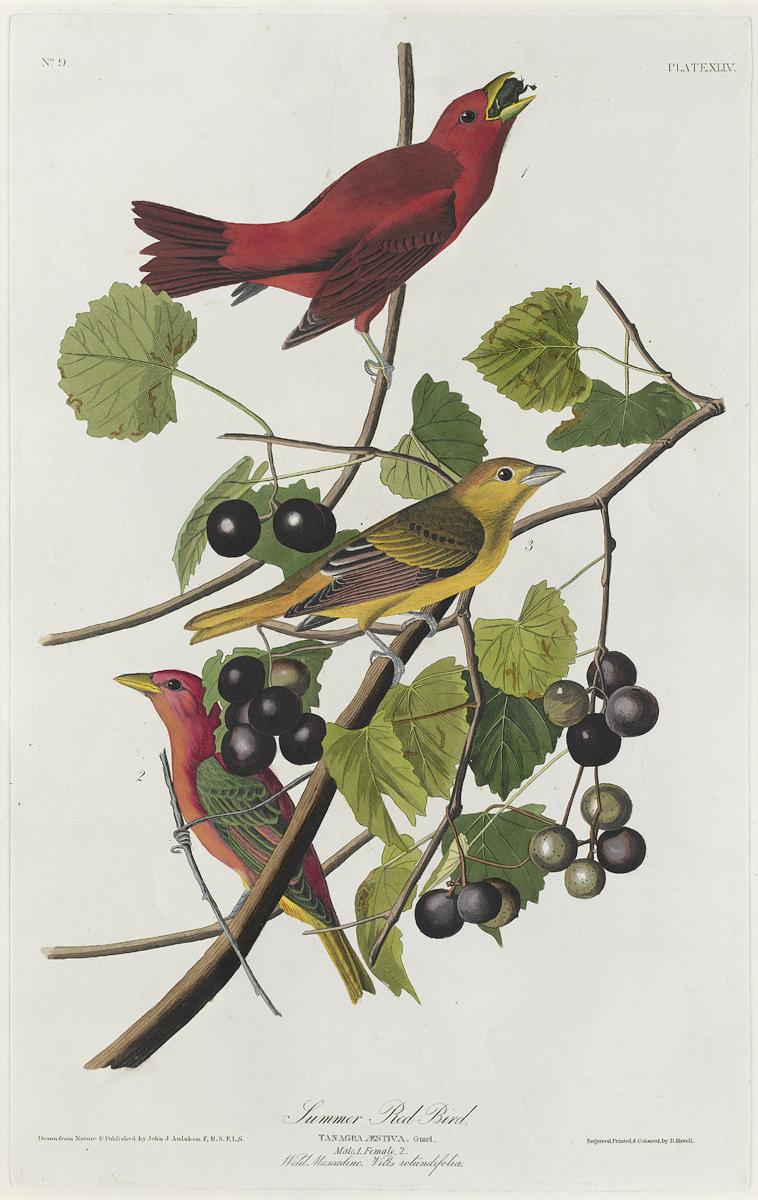1959.0162.027 Print, View 2