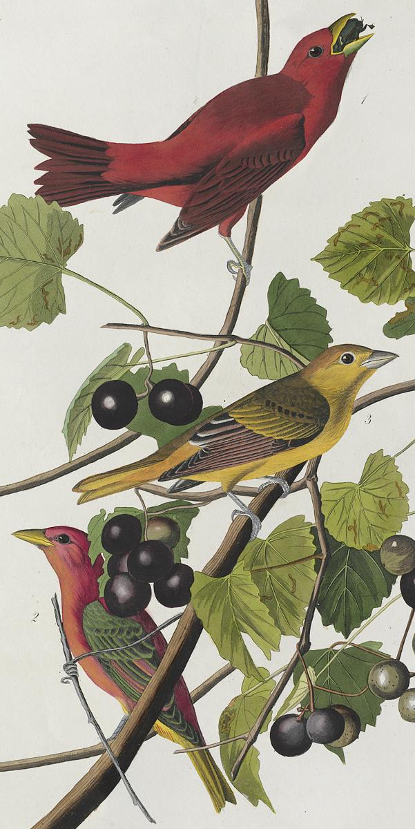 1959.0162.027 Print, Detail