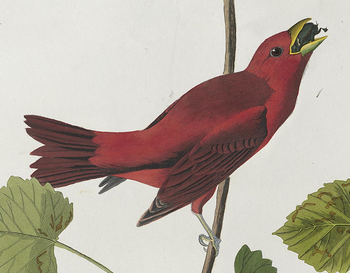 1959.0162.027 Print, Detail 2