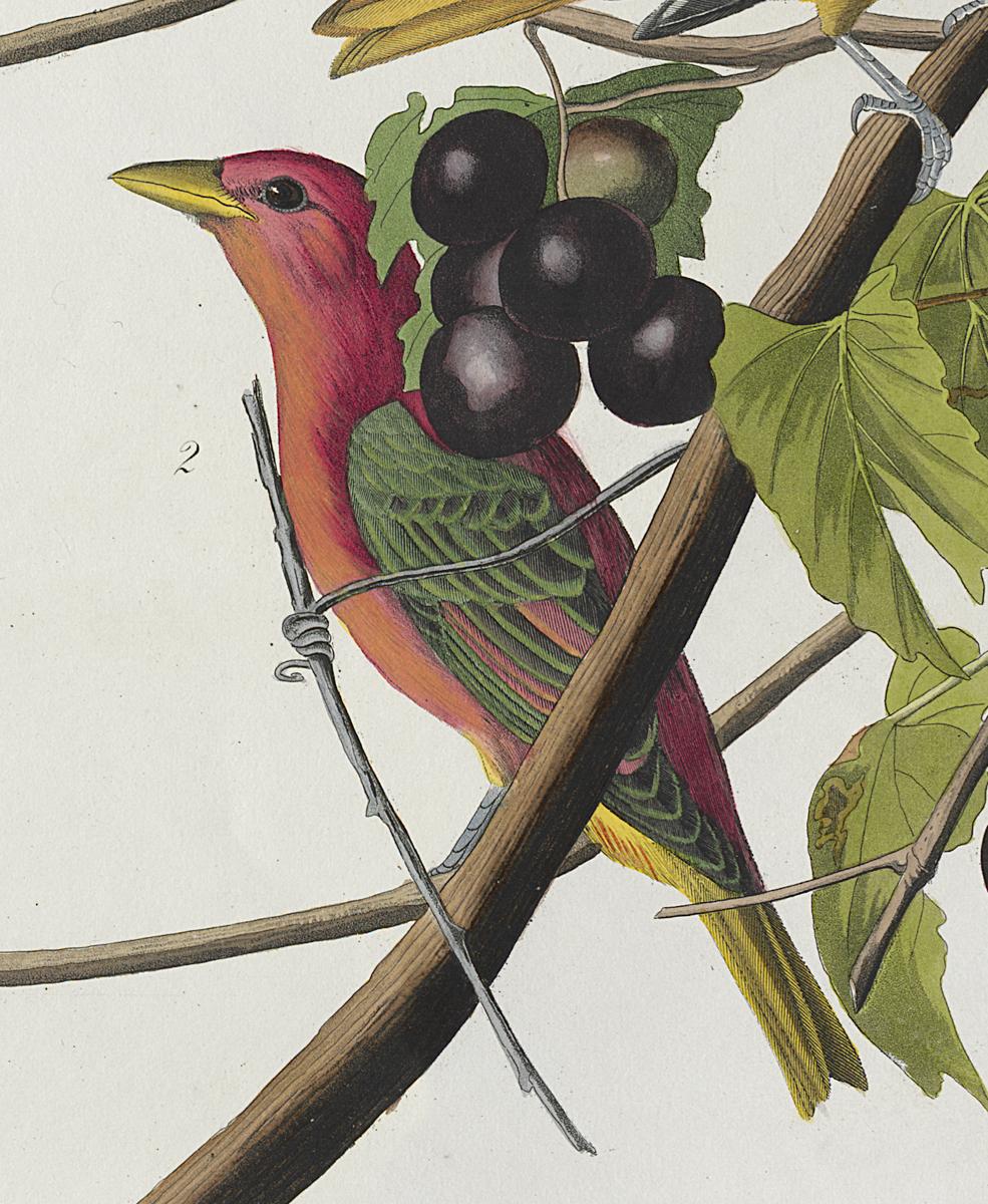 1959.0162.027 Print, Detail 3