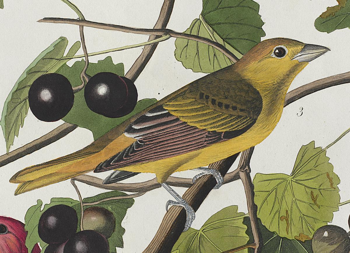 1959.0162.027 Print, Detail 4