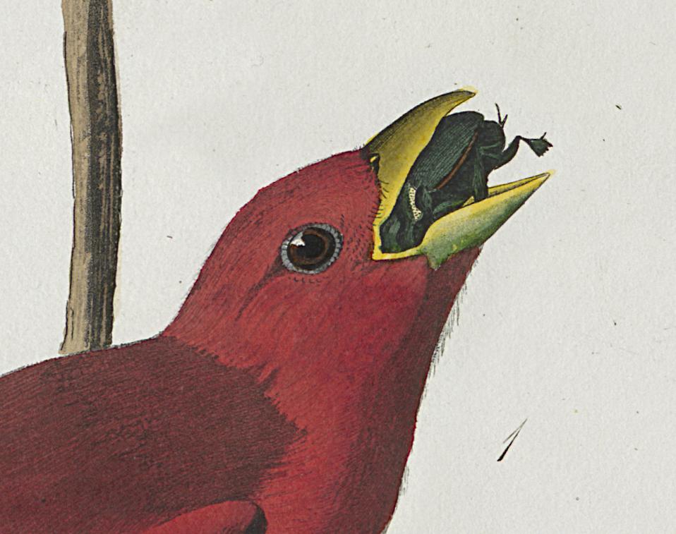 1959.0162.027 Print, Detail 5