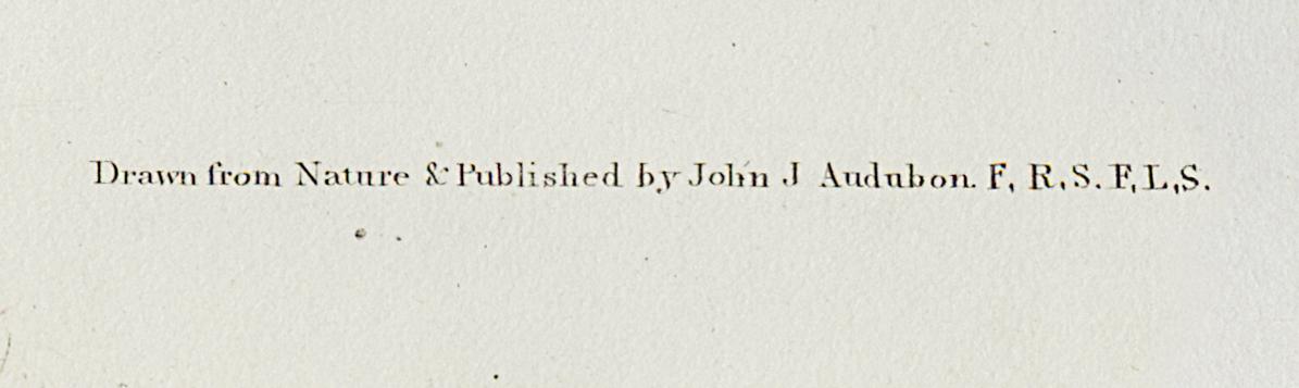 1959.0162.027 Print, Detail 7